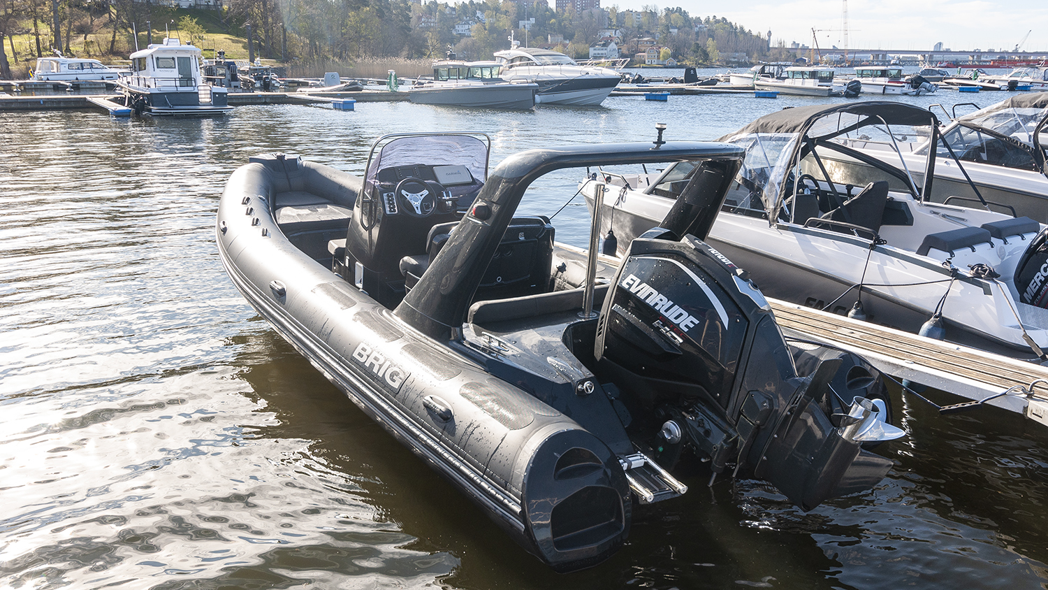 Brig_Eagle_650_2016 (3)